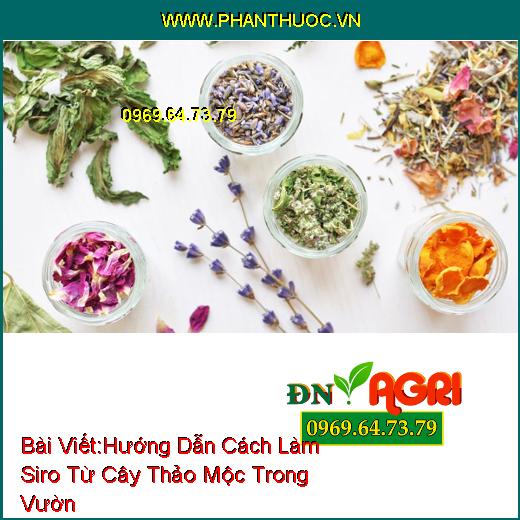 Hướng Dẫn Cách Làm Siro Từ Cây Thảo Mộc Trong Vườn