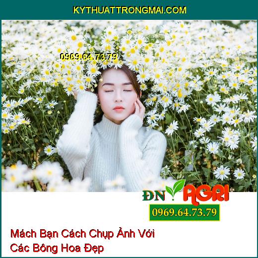 Mách Bạn Cách Chụp Ảnh Với Các Bông Hoa Đẹp Từ Trong Vườn Đến Trên Mạng