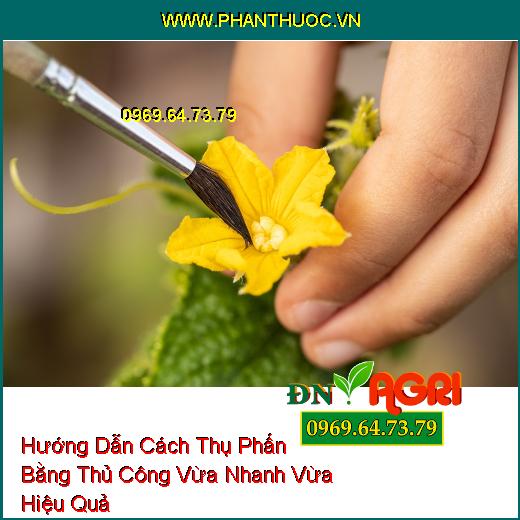 Hướng Dẫn Cách Thụ Phấn Bằng Thủ Công Vừa Nhanh Vừa Hiệu Quả