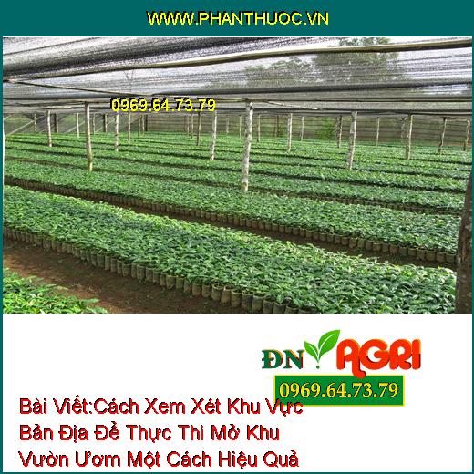 Cách Xem Xét Khu Vực Bản Địa Để Thực Thi Mở Khu Vườn Ươm Một Cách Hiệu Quả Mà Bạn Nên Biết