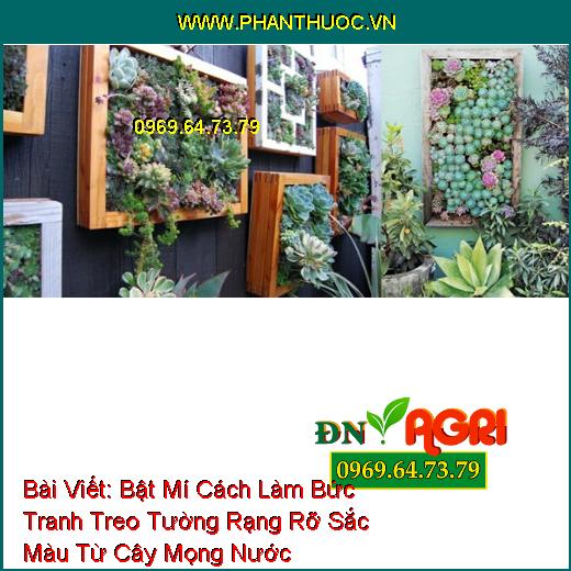 Bài Viết: Bật Mí Cách Làm Bức Tranh Treo Tường Rạng Rỡ Sắc Màu Từ Cây Mọng Nước