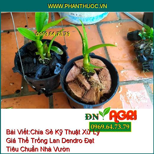 Chia Sẻ Kỹ Thuật Xử Lý Giá Thể Trồng Lan Dendro Đạt Tiêu Chuẩn Nhà Vườn