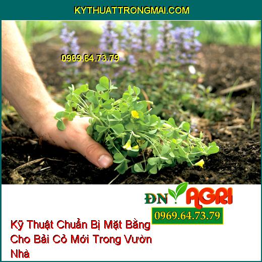 Kỹ Thuật Chuẩn Bị Mặt Bằng Cho Bải Cỏ Mới Trong Vườn Nhà