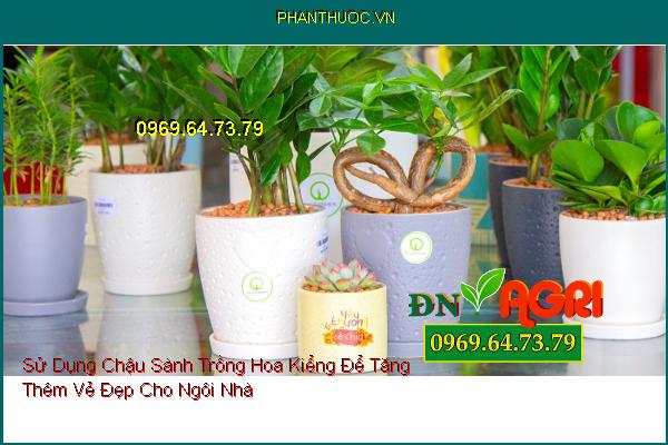 Sử Dụng Chậu Sành Trồng Hoa Kiểng Để Tăng Thêm Vẻ Đẹp Cho Ngôi Nhà