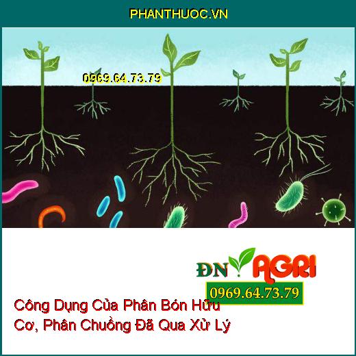 Công Dụng Của Phân Bón Hữu Cơ, Phân Chuồng Đã Qua Xử Lý