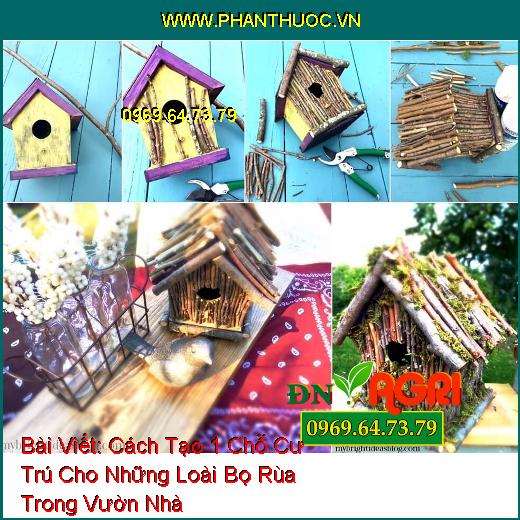 Cách Tạo 1 Chỗ Cư Trú Cho Những Loài Bọ Rùa Trong Vườn Nhà