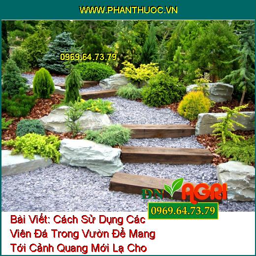 Cách Sử Dụng Các Viên Đá Trong Vườn Để Mang Tới Cảnh Quang Mới Lạ Cho Vườn Nhà