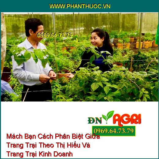 Mách Bạn Cách Phân Biệt Giữa Trang Trại Theo Thị Hiếu Và Trang Trại Kinh Doanh