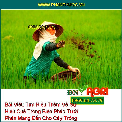 Tìm Hiểu Thêm Về Sự Hiệu Quả Trong Biện Pháp Tưới Phân Mang Đến Cho Cây Trồng