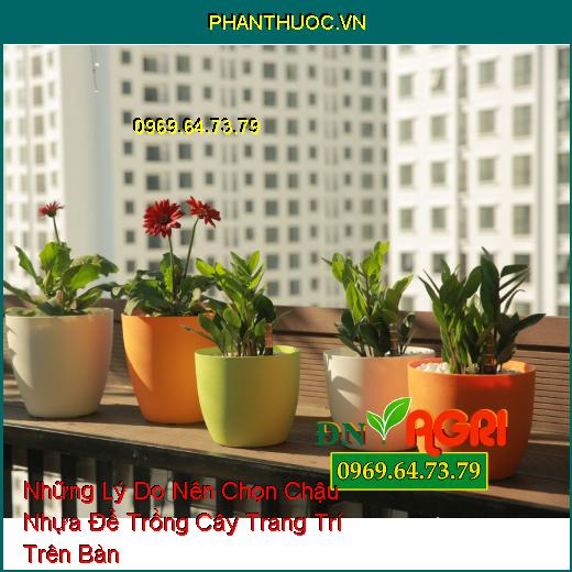 Những Lý Do Nên Chọn Chậu Nhựa Để Trồng Cây Trang Trí Trên Bàn