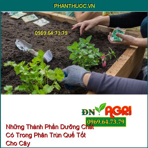 Những Thành Phần Dưỡng Chất Có Trong Phân Trùn Quế Tốt Cho Cây