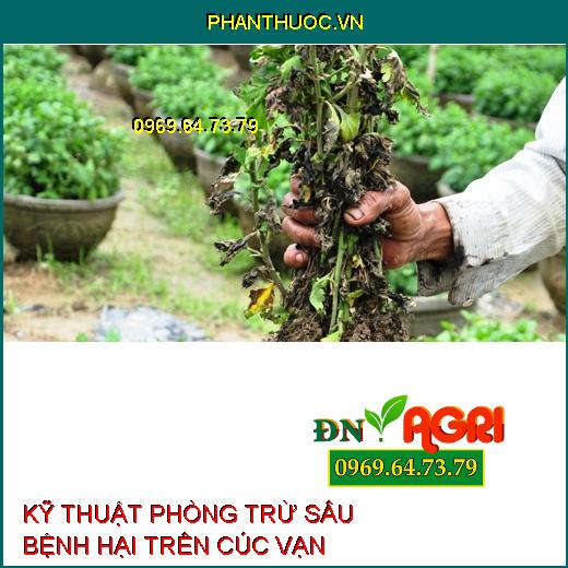 KỸ THUẬT PHÒNG TRỪ SÂU BỆNH HẠI TRÊN CÚC VẠN THỌ