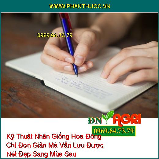 Kỹ Thuật Nhân Giống Hoa Đông Chí Đơn Giản Mà Vẫn Lưu Được Nét Đẹp Sang Mùa Sau