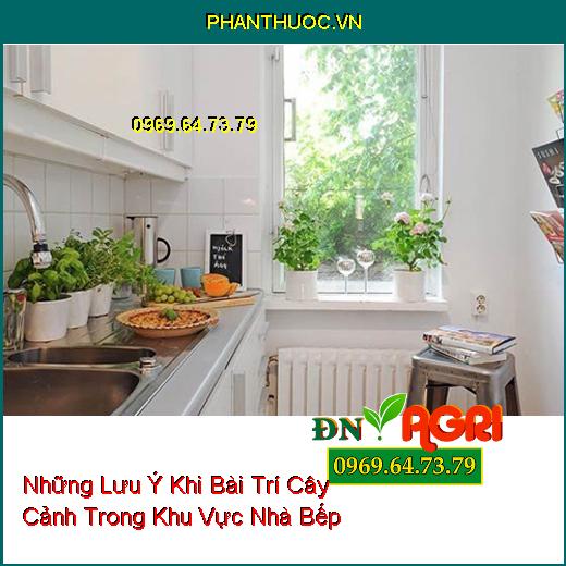 Những Lưu Ý Khi Bài Trí Cây Cảnh Trong Khu Vực Nhà Bếp