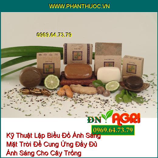 Chia Sẻ Cho Bạn Cách Làm Xà Phòng Rửa Tay Ngay Tại Nhà Đơn Giản Mà Hiệu Quả