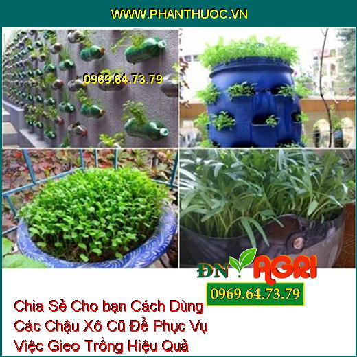 Chia Sẻ Cho bạn Cách Dùng Các Chậu Xô Cũ Để Phục Vụ Việc Gieo Trồng Hiệu Quả