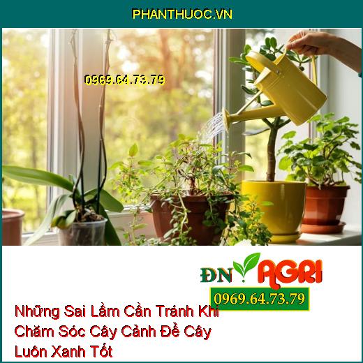 Những Sai Lầm Cần Tránh Khi Chăm Sóc Cây Cảnh Để Cây Luôn Xanh Tốt