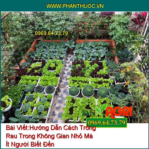 Hướng Dẫn Cách Trồng Rau Trong Không Gian Nhỏ Mà Ít Người Biết Đến