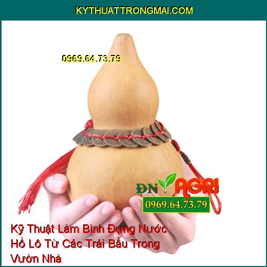 Kỹ Thuật Làm Bình Đựng Nước Hồ Lô Từ Các Trái Bầu Trong Vườn Nhà