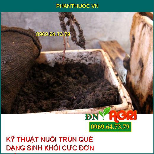 KỸ THUẬT NUÔI TRÙN QUẾ DẠNG SINH KHỐI CỰC ĐƠN GIẢN