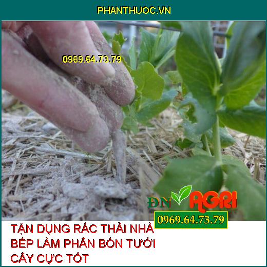 TẬN DỤNG RÁC THẢI NHÀ BẾP LÀM PHÂN BÓN TƯỚI CÂY CỰC TỐT