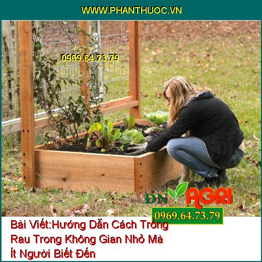 Hướng Dẫn Cách Trồng Rau Trong Không Gian Nhỏ Mà Ít Người Biết Đến