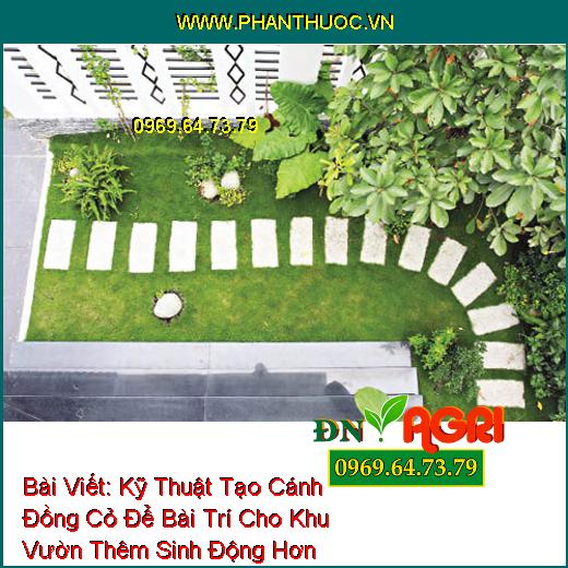 Kỹ Thuật Tạo Cánh Đồng Cỏ Để Bài Trí Cho Khu Vườn Thêm Sinh Động Hơn