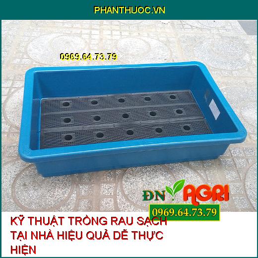 KỸ THUẬT TRỒNG RAU SẠCH TẠI NHÀ HIỆU QUẢ DỄ THỰC HIỆN