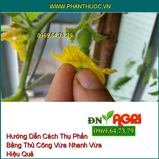 Hướng Dẫn Cách Thụ Phấn Bằng Thủ Công Vừa Nhanh Vừa Hiệu Quả