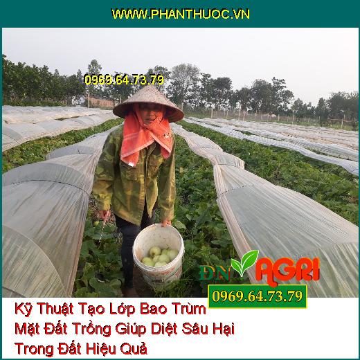 Kỹ Thuật Tạo Lớp Bao Trùm Mặt Đất Trồng Giúp Diệt Sâu Hại Trong Đất Hiệu Quả