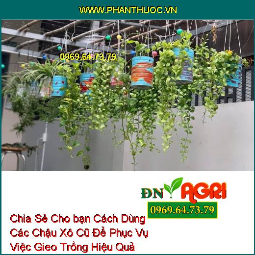 Chia Sẻ Cho bạn Cách Dùng Các Chậu Xô Cũ Để Phục Vụ Việc Gieo Trồng Hiệu Quả