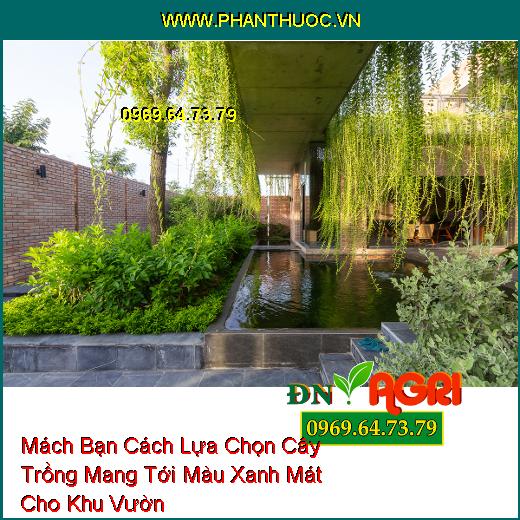 Mách Bạn Cách Lựa Chọn Cây Trồng Mang Tới Màu Xanh Mát Cho Khu Vườn