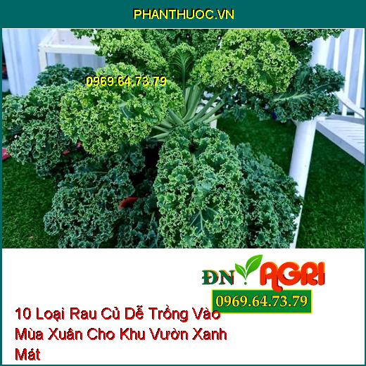 10 Loại Rau Củ Dễ Trồng Vào Mùa Xuân Cho Khu Vườn Xanh Mát