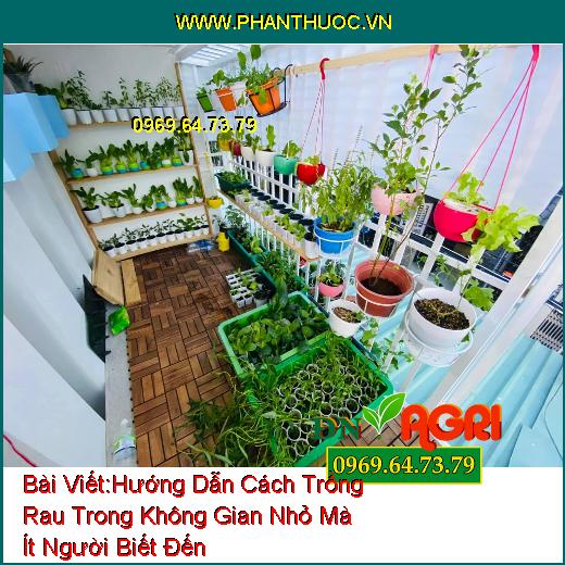 Hướng Dẫn Cách Trồng Rau Trong Không Gian Nhỏ Mà Ít Người Biết Đến