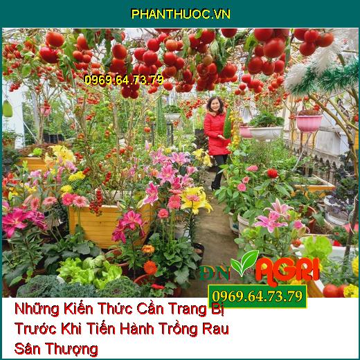 Những Kiến Thức Cần Trang Bị Trước Khi Tiến Hành Trồng Rau Sân Thượng