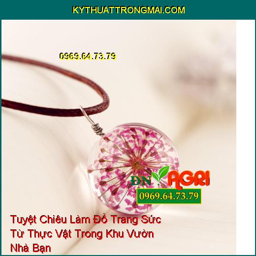 Tuyệt Chiêu Làm Đồ Trang Sức Từ Thực Vật Trong Khu Vườn Nhà Bạn