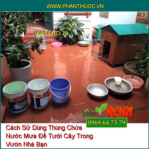 Cách Sử Dùng Thùng Chứa Nước Mưa Để Tưới Cây Trong Vườn Nhà Bạn