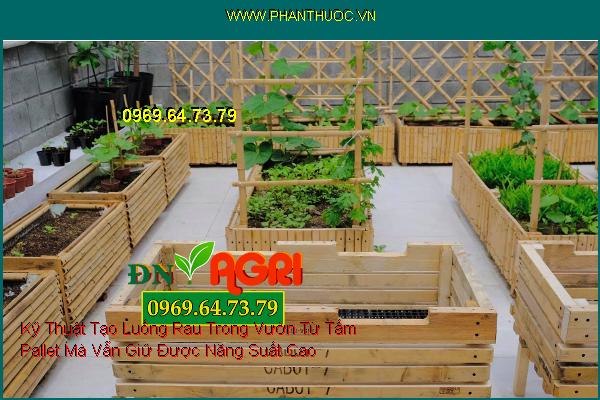 Kỹ Thuật Tạo Luống Rau Trong Vườn Từ Tấm Pallet Mà Vẫn Giữ Được Năng Suất Cao