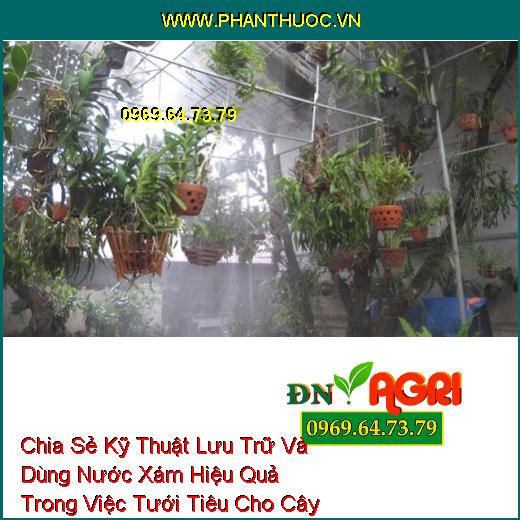 Chia Sẻ Kỹ Thuật Lưu Trữ Và Dùng Nước Xám Hiệu Quả Trong Việc Tưới Tiêu Cho Cây