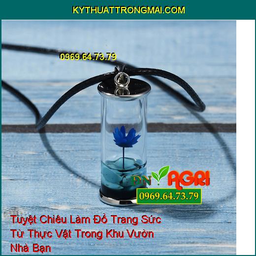 Tuyệt Chiêu Làm Đồ Trang Sức Từ Thực Vật Trong Khu Vườn Nhà Bạn