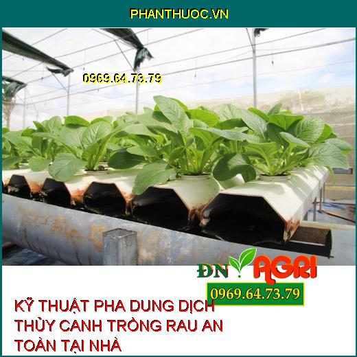 KỸ THUẬT PHA DUNG DỊCH THỦY CANH TRỒNG RAU AN TOÀN TẠI NHÀ