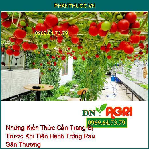 Những Kiến Thức Cần Trang Bị Trước Khi Tiến Hành Trồng Rau Sân Thượng