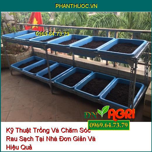 Kỹ Thuật Trồng Và Chăm Sóc Rau Sạch Tại Nhà Đơn Giản Và Hiệu Quả