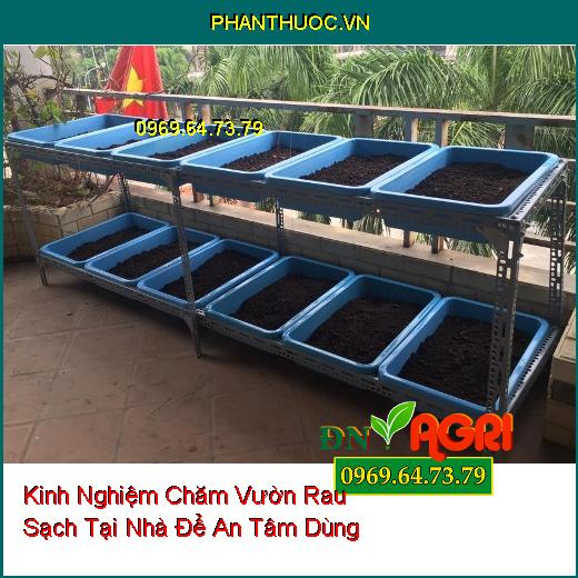 Kinh Nghiệm Chăm Vườn Rau Sạch Tại Nhà Để An Tâm Dùng