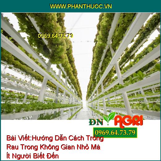 Hướng Dẫn Cách Trồng Rau Trong Không Gian Nhỏ Mà Ít Người Biết Đến