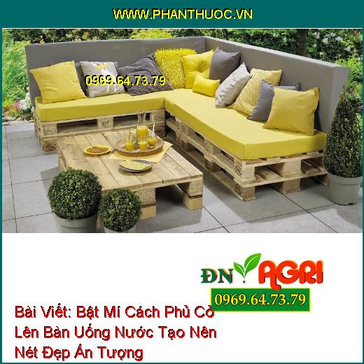 Bật Mí Cách Phủ Cỏ Lên Bàn Uống Nước Tạo Nên Nét Đẹp Ấn Tượng Cho Phòng Khách Nhà Bạn