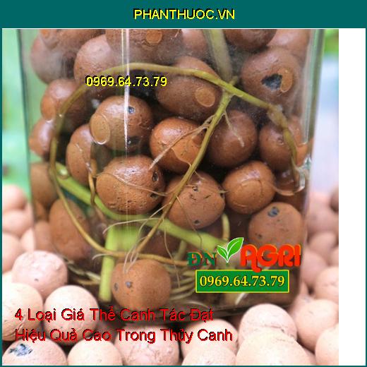 4 Loại Giá Thể Canh Tác Đạt Hiệu Quả Cao Trong Thủy Canh