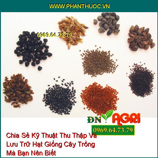 Chia Sẻ Kỹ Thuật Thu Thập Và Lưu Trữ Hạt Giống Cây Trồng Mà Bạn Nên Biết