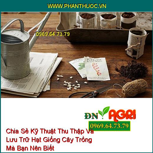 Chia Sẻ Kỹ Thuật Thu Thập Và Lưu Trữ Hạt Giống Cây Trồng Mà Bạn Nên Biết