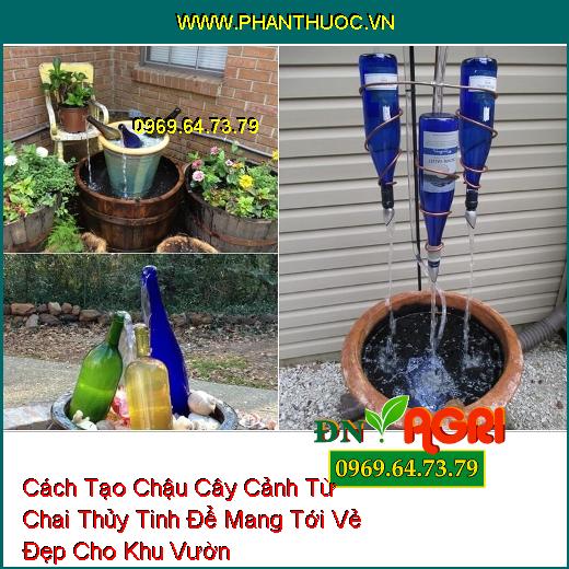 Cách Tạo Chậu Cây Cảnh Từ Chai Thủy Tinh Để Mang Tới Vẻ Đẹp Cho Khu Vườn